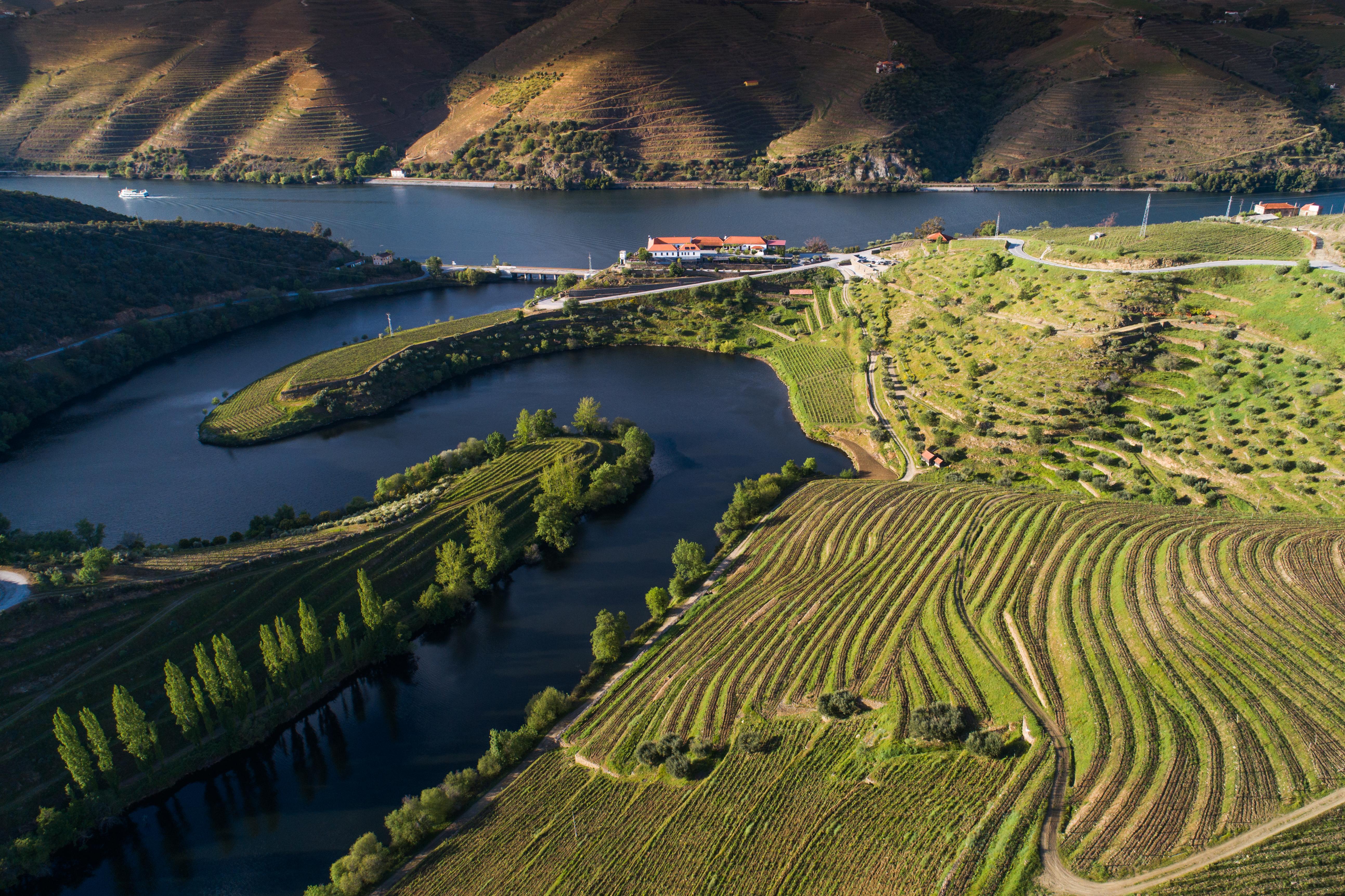 Vila Gale Douro Vineyards Armamar Εξωτερικό φωτογραφία