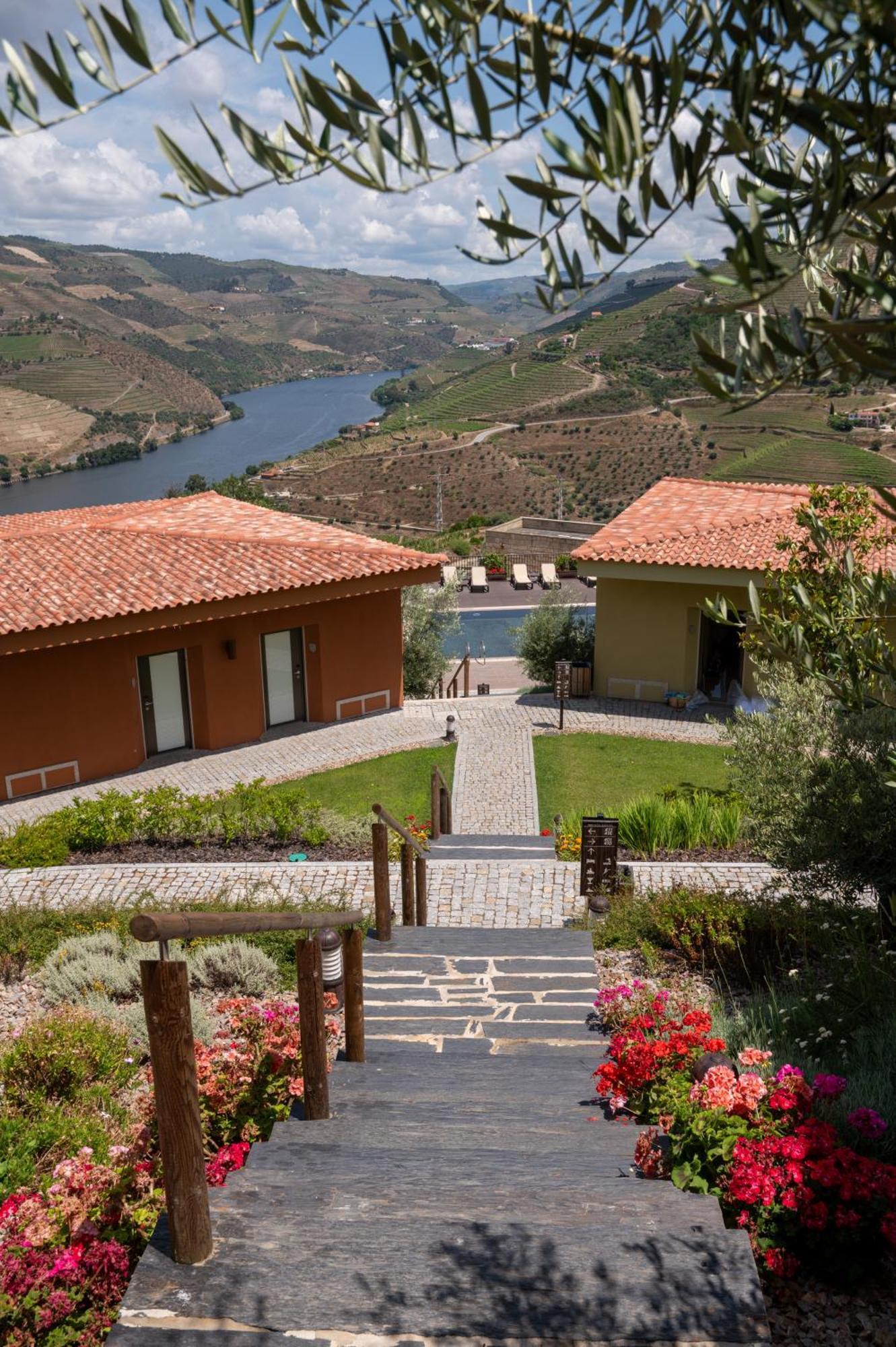 Vila Gale Douro Vineyards Armamar Εξωτερικό φωτογραφία
